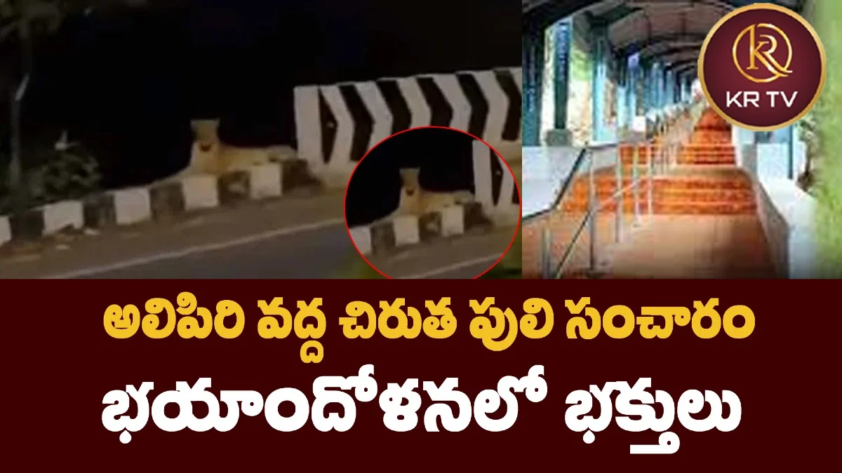 అలిపిరి వద్ద చిరుత పులి సంచారం.. భయాందోళనలో భక్తులు
